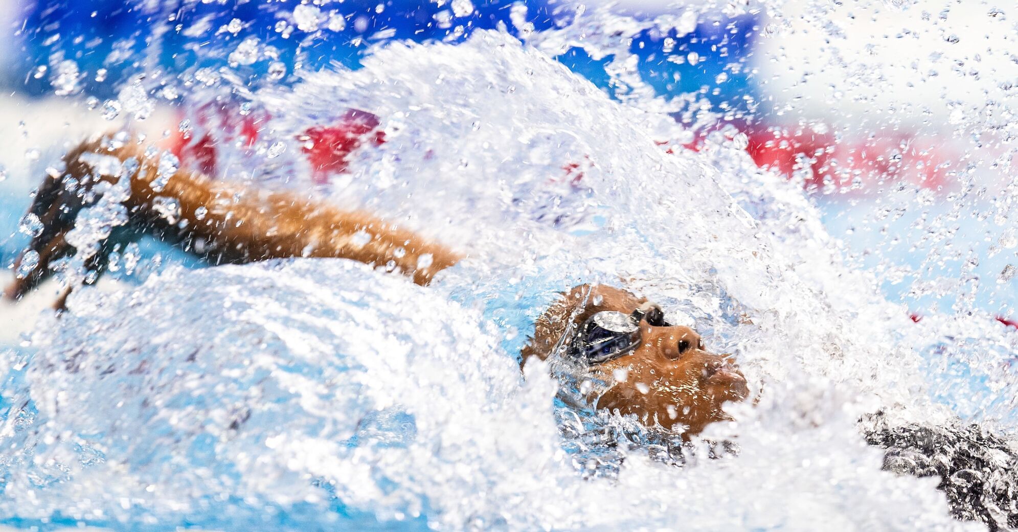 060521-owh-spo-swimtrials-pic-cm007